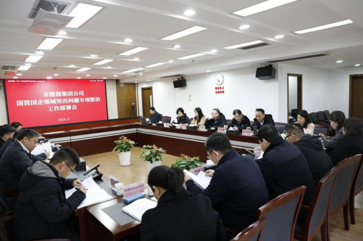 固本强基护国资丨市能源集团公司召开国资国企领域突出问题专项整治工作部署会